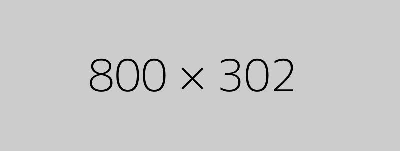 800x302